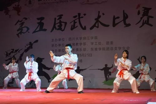 第五届武术大赛