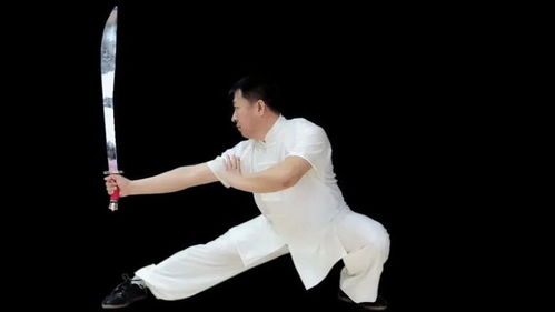 武术专业教师引领优质课程
