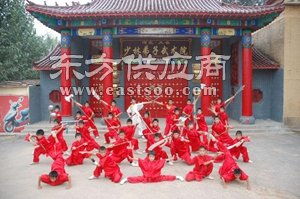 武术培训学校什么时候招生 专业的武术培训学校就是大名少林武院图片