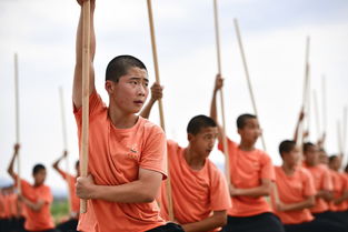 练少林武术 迎民族盛会