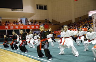 北京 中小学生武术比赛展英姿