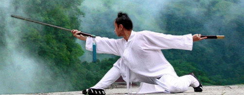 武当太极拳"武"动萨尔茨堡(图)