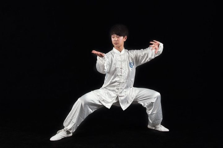 网友投稿:看来有必要科普下中国传统武术和中国套路武术了