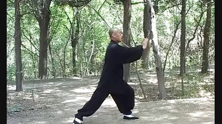 李占英杨氏太极拳85及51式太极剑 - 播单 - 优酷视频