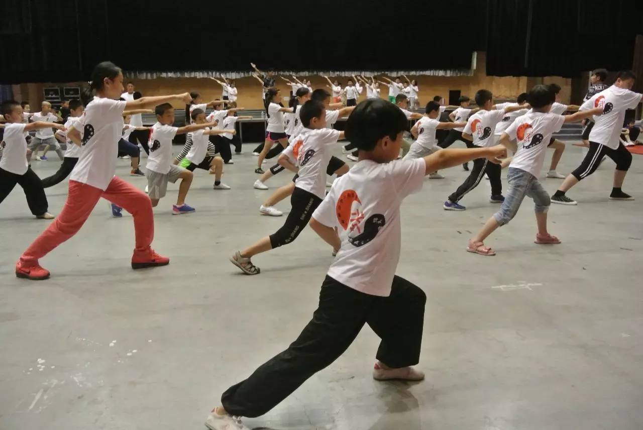 三地少年手拉手 童心共“武”中国梦 京津冀优秀少先队员武术公益体验夏令营精彩收官