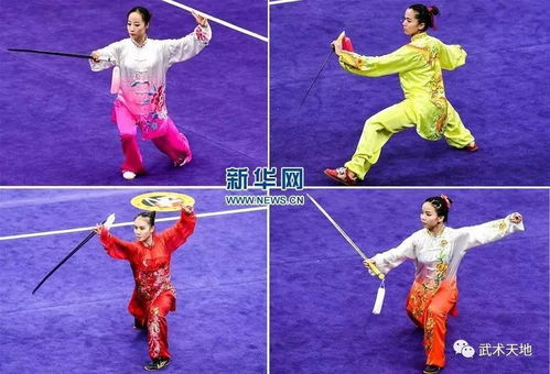 武术套路 炫彩 武 场