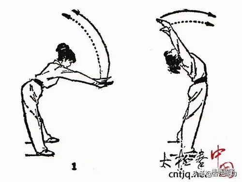 武术基本功