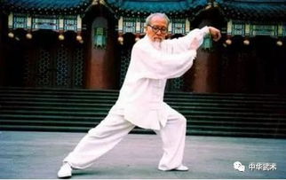 中华武术