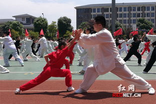 长沙县泉星小学百名 功夫少年 与父母共铸武术魂