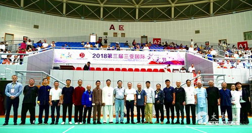 以武为媒 相约三亚 2018第三届三亚国际武术文化节盛大开幕