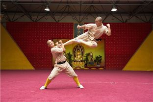 启蒙武校,这里成了我造梦的工厂