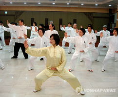 华人女武师在韩推广太极拳10年 弘扬中国武术