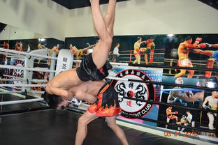 图 北京市少儿搏击散打泰拳武术哪里好龙圣搏击俱乐部万达店 北京文体培训