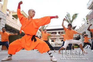感受中华武术
