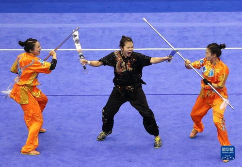 武术套路 学青会 大学组女子对练赛况