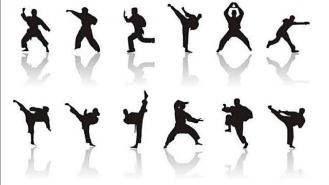 中国武术的起源与发展