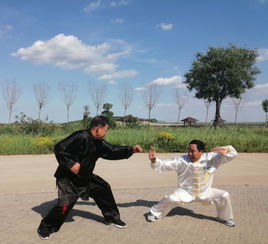 首届国际传武联盟大会弘扬中华传统武术文化 助力推动南大港全域旅游发展