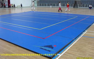 潍坊武术地毯生产厂家正规物流发货放心选购