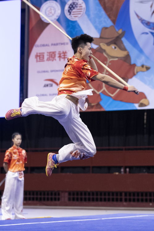 用武术沟通世界,第十六届武术世锦赛盛大开幕