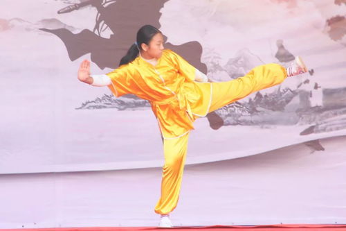 以武会友 沙井举办首届传统武术交流大会