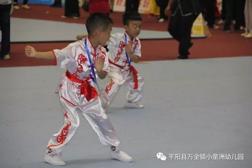 万全镇小童洲幼儿园武术代表队在浙江平阳 全国南拳公开赛中喜获佳绩
