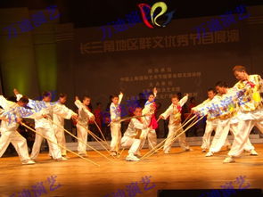 南京激光舞与上海武术演出价格及型号规格对比