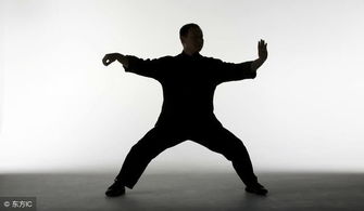 陈式太极拳老架一路动作教学 单鞭、雀地龙与上步七星详解