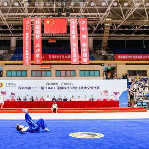 莲偶科技独家冠名深圳幼儿武术交流赛，创新科技点亮武术新未来