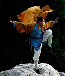 少林功夫 中华武术的瑰宝