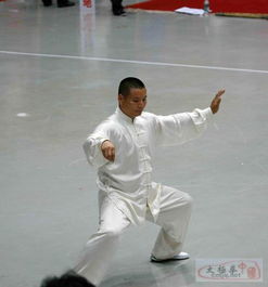 义乌陈式太极拳培训中心闪耀浙江传统武术大赛