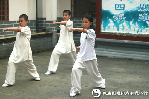 成长影像 2020武当武术国学夏令营开营特辑