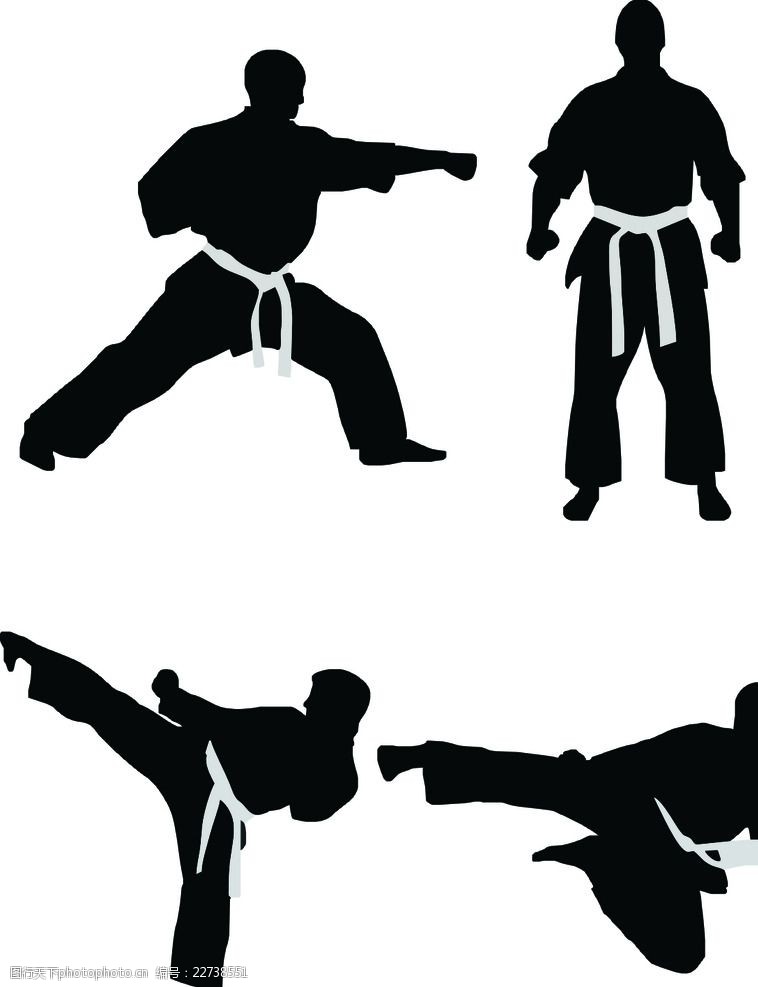 武术的力与美 从人物图片素材看中华武学精髓