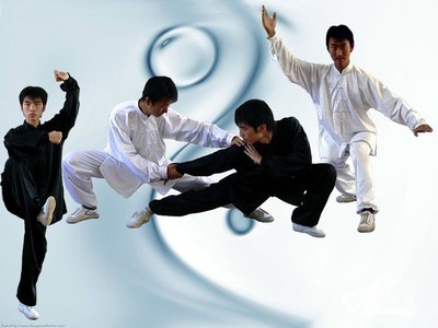 武人之道 中国武术的文化内涵