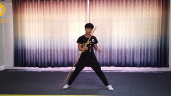 传统武术 源远流长的中华文化瑰宝