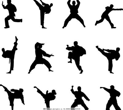 中华武术 功夫的魅力与风采