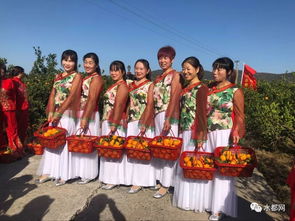 武术盛宴 现代格斗与传统技艺的交融