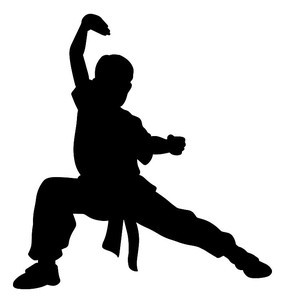 武之剪影 光影流转间的武术魂