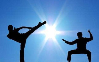 武术基本功 构筑武者之躯的基石