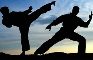 中国武术 从古代搏击到现代文明的千年传承