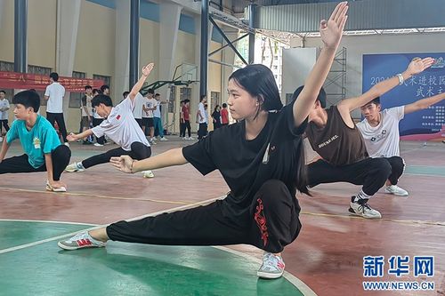 海南省启动2024年武术进校园试点学校武术主题训练营