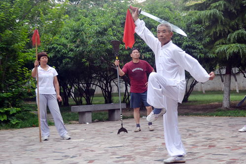 河南武术之乡 百万习武大军的文化传承与时代新篇