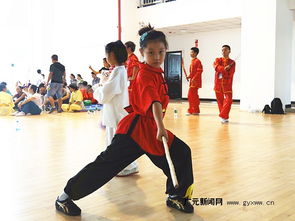 市运会青少年组武术比赛拉开战幕，新秀辈出展风采