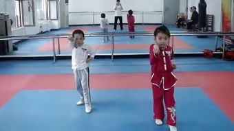 武术基本功 –