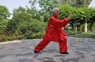 武术名家扎西 中国武术名家人才数据库