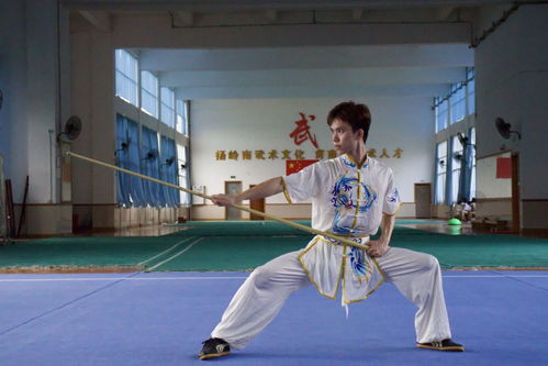 传统武术走进深圳小学校园,让国粹传承 动 起来